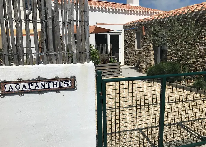 Les Agapanthes