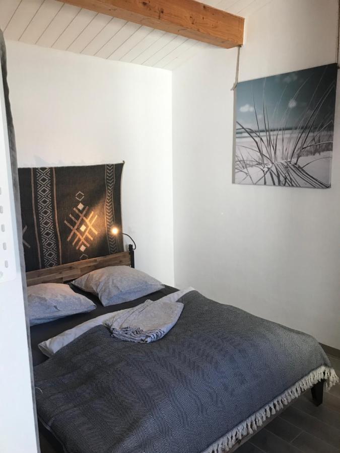 Les Agapanthes Noirmoutier-en-l'Île
